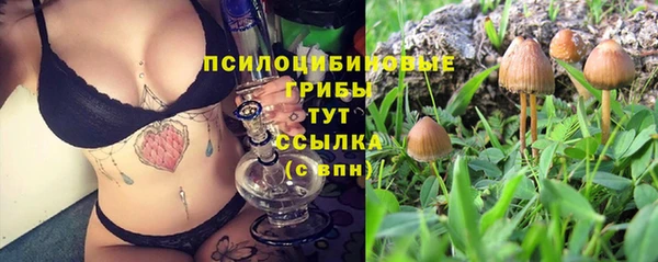бошки Щёлкино
